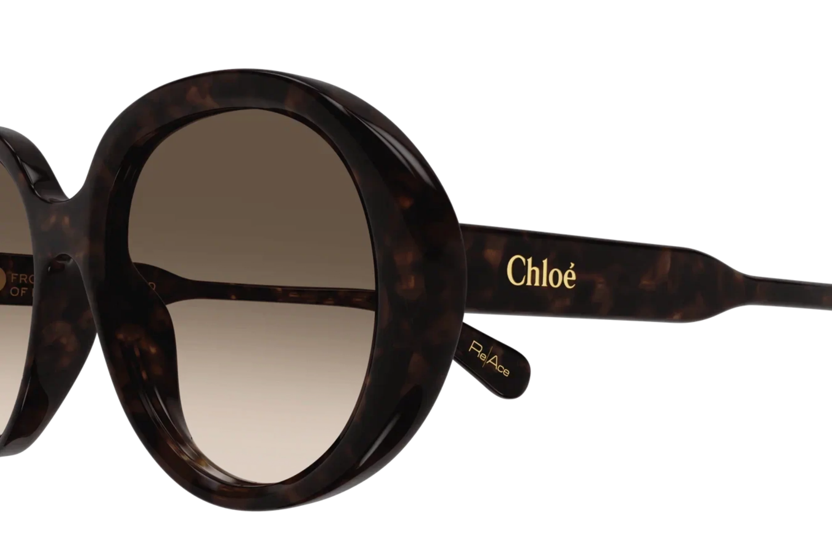 Chloe CH 0221S 002, фото 2